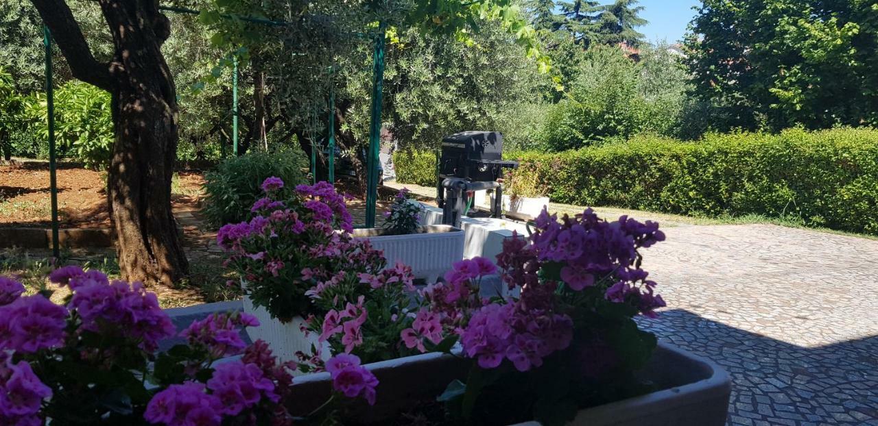 Apartmán Clara 3 Poreč Exteriér fotografie